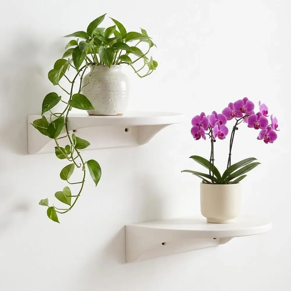 Floating Plant Shelves 2 Pack 5.9x7.4 Wall Mounted Display Shelf Home Decor Set